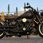 Custom HD Softail bobber